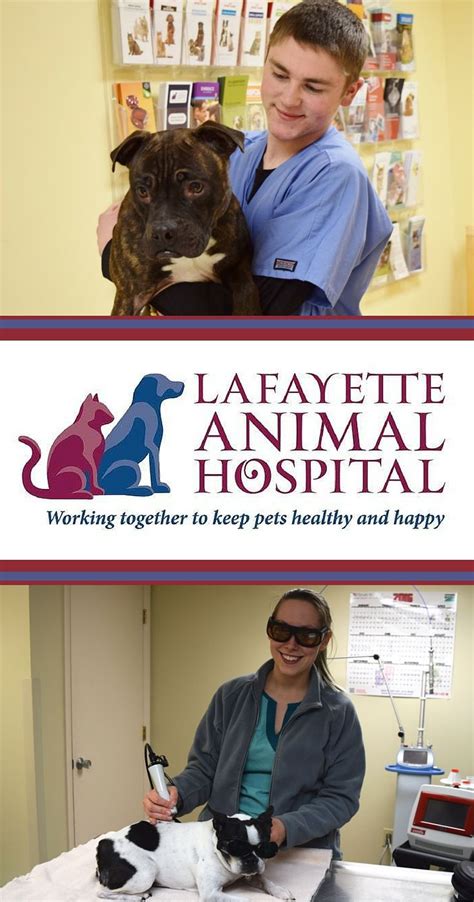 Lafayette LA Animal Hospital: A Comprehensive Guide to Your Pet's Healthcare