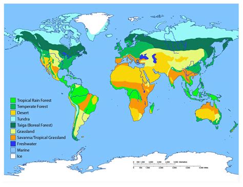 Lakes And Rivers Biomes of the Earth Epub