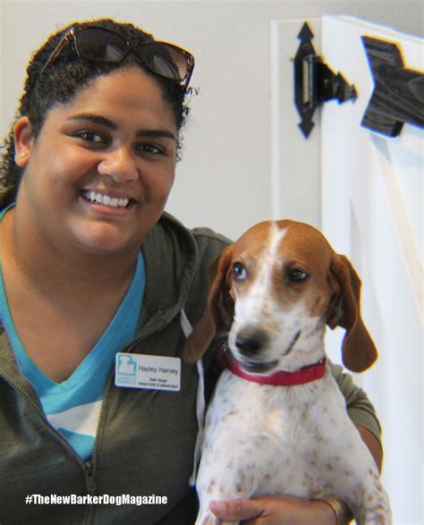 Lakewood Ranch Humane Society: Making a Difference in Animal Lives