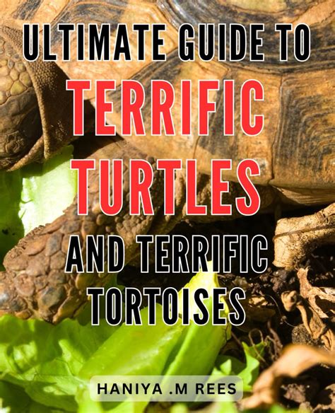 LanaLovesTurtles: A Comprehensive Guide to Caring for Your Beloved Chelonians