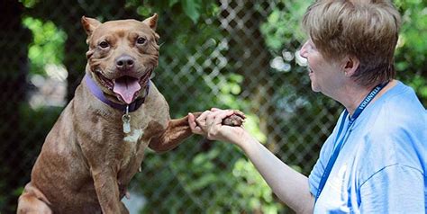 Lancaster Humane League: 10,000+ Lives Rescued