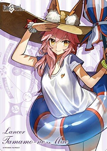 Lancer Tamamo no Mae: A Comprehensive Study of Her Abilities and Role in Fate/Grand Order