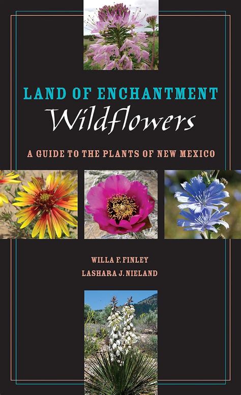 Land Of Enchantment Wildflowers A Guide To The Plants Of New Mexico Epub