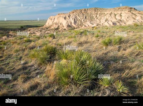 Landforms of Colorado Chalk Bluffs Kindle Editon