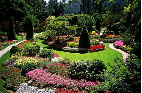 Landscape Gardening and Design with Plants PDF