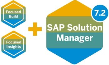 Landscape Verification 1 0 Sp1 For Sap Solution Manager Kindle Editon