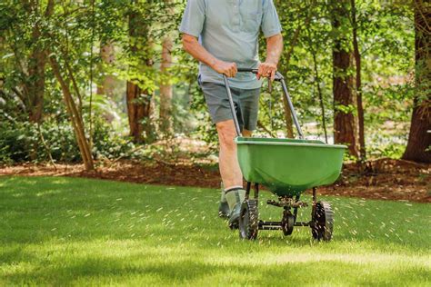 Landscaping Fertilizing Service: The Ultimate Guide