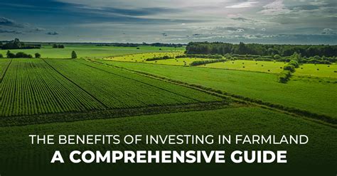 Landstock: A Comprehensive Guide to Investing in Agricultural Land