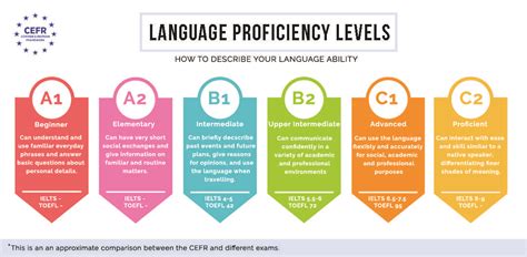 Language proficiency level