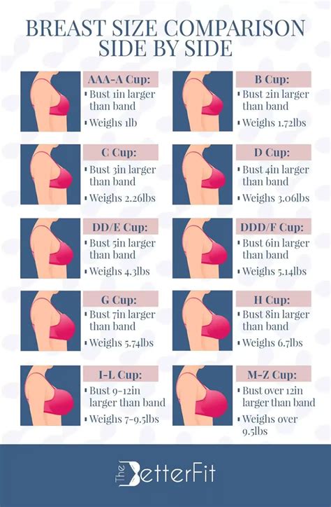 Large Breast Sizes Chart
