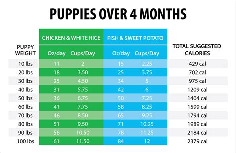 Large Breed Puppy Feeding Chart