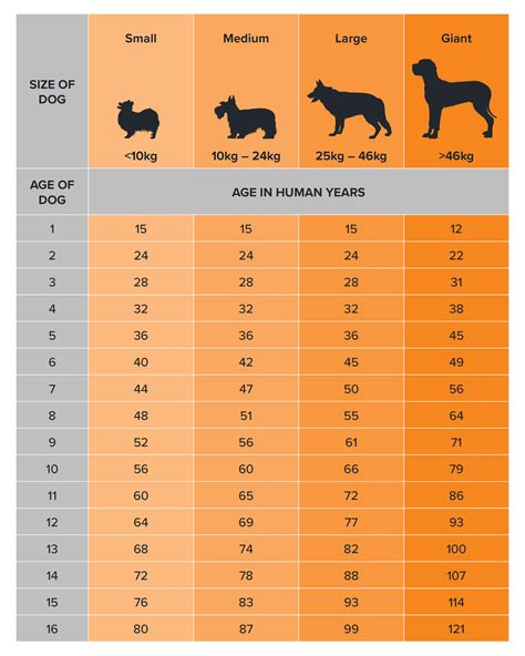Large Dog Age Chart