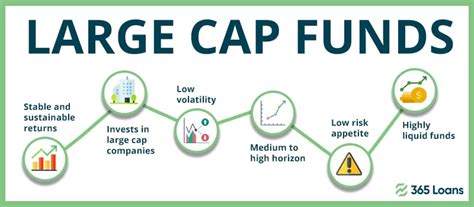 Large-cap funds: