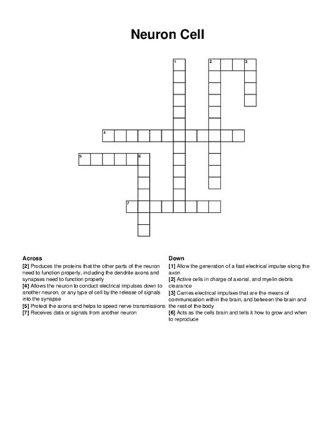 Largest Part Of The Neuron That Contains Nucleus Crossword Answers Doc