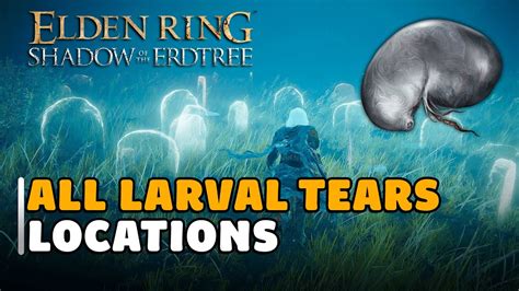 Larval Tears: Shadow of the Erdtree's 10,000 Secrets