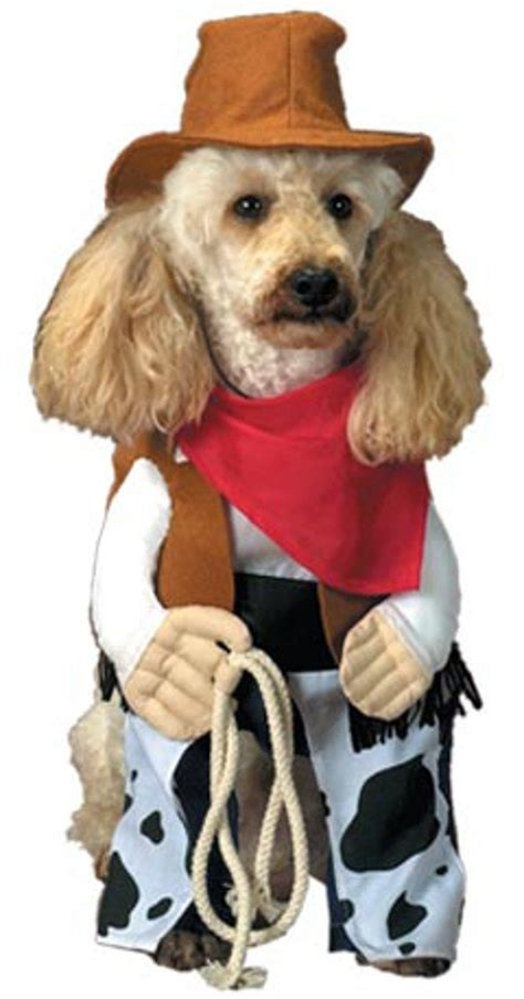 Lasso Up Your Pup: A Comprehensive Guide to Dog Costume Cowboy Riding