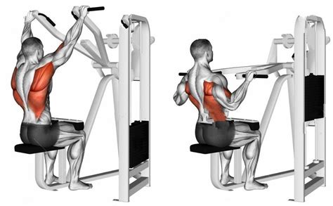 Lat Pulldown Machine: The Ultimate Guide to Master This Key Exercise