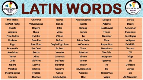Latin English Confessions With Dictionary Definitions for Every Latin Word Epub
