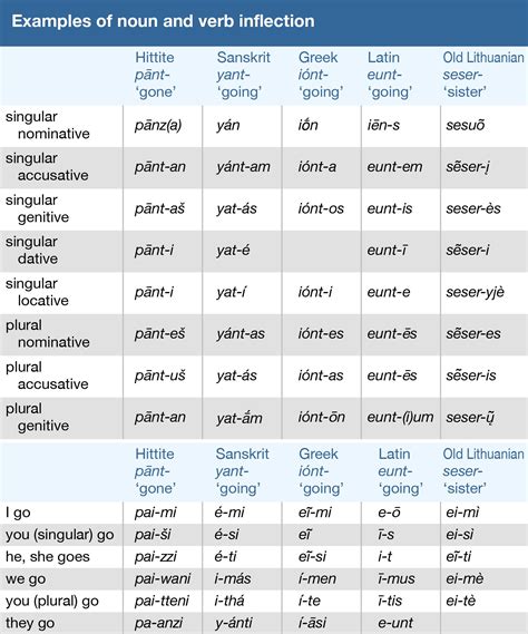Latin vs. Greek: A Comparative Analysis of Two Ancient Languages