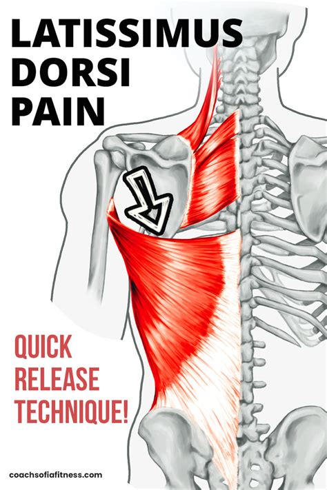 Latissimus Dorsi Muscle Pain: 7 Causes and 8 Fixes