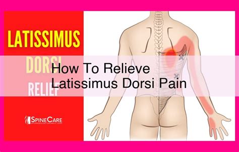 Latissimus Dorsi Muscle Pain: A Comprehensive Guide to Causes, Treatment, and Prevention