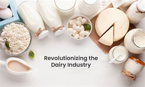 Lattierocks: Revolutionizing Dairy-Based Industries with Innovative Technologies