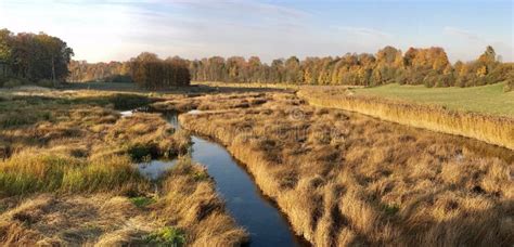 Latvia Ecology & Nature Protection Handbook PDF