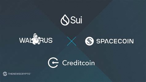 Launch Coin on Sui: Unveiling a New Era of Decentralized Finance