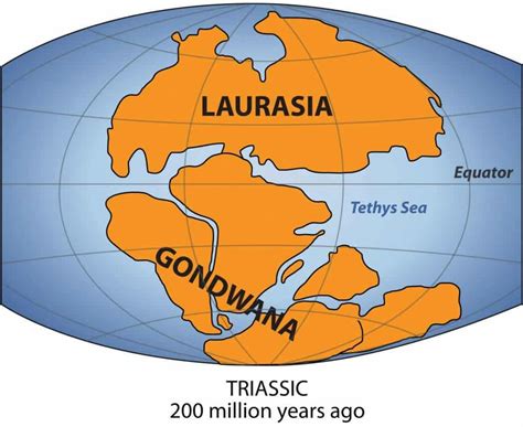 Laurasia and Gondwana: Unearthing the Ancient Continents