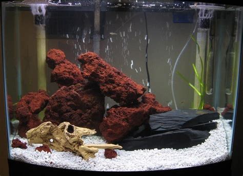 Lava Rocks: The Essential Guide to Creating a Thriving Fish Aquarium