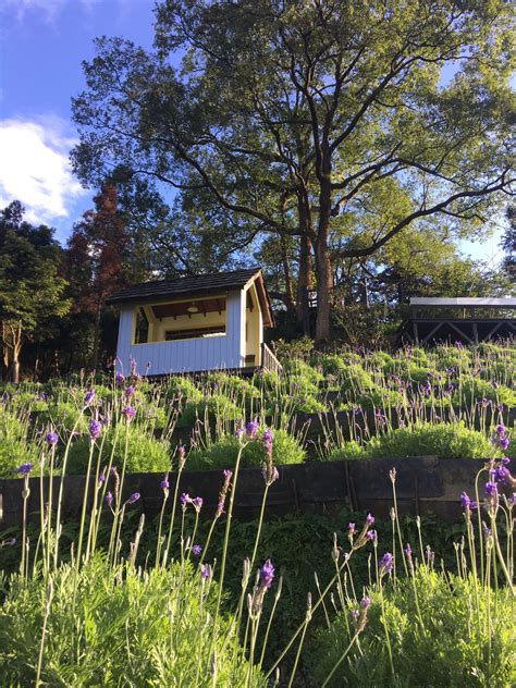 Lavender Cottage Taiwan: A Fragrant Oasis Amidst the Mountains