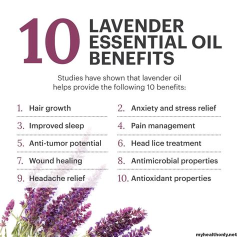 Lavender Essential Oil Everything You Need To Know About This Wonderful Essential Oil Essential Oils And Aromatherapy Volume 3 Doc
