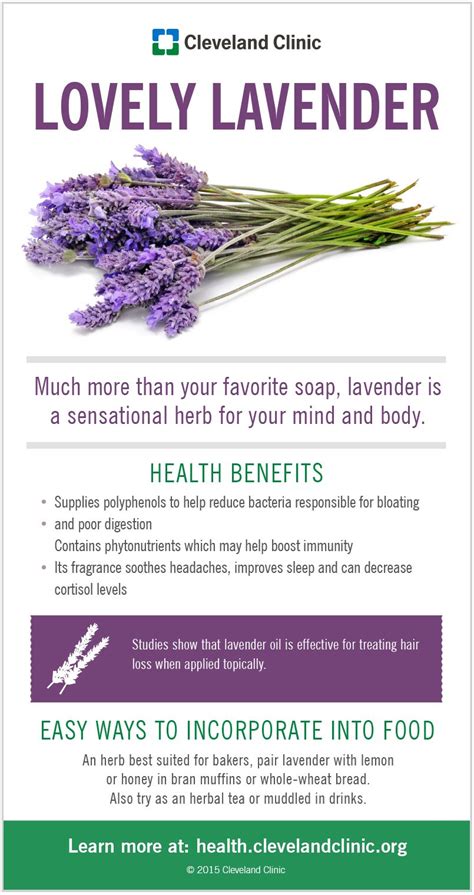 Lavender Medical Clinic: A Haven of Healing and Well-being