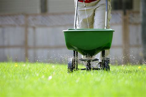 Lawn Care 101: Seed and Fertilize Your Lawn for a Lush Green Yard