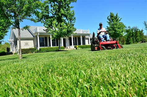 Lawn Care Everything You Need to Know to Have Perfect Lawn Epub