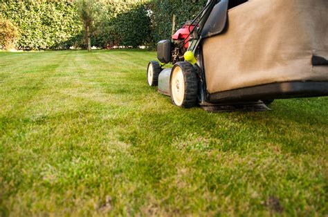 Lawn Care Insurance: 7 Vital Tips for Protecting Your Yard and Wallet