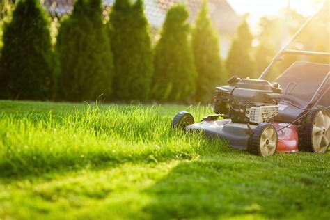 Lawn Mowing: