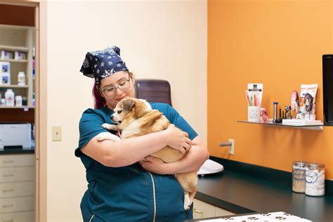 Lawrence Animal Hospital, Lawrence KS: Your Comprehensive Guide to Exceptional Pet Care