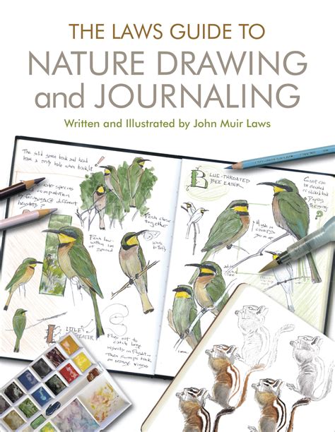 Laws Guide Nature Drawing Journaling Epub