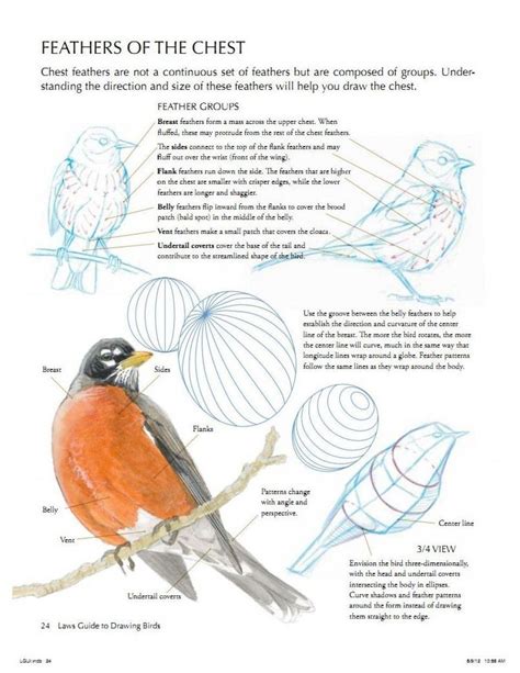 Laws Guide to Drawing Birds The Epub