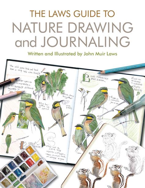 Laws Guide to Nature Drawing and Journaling The PDF