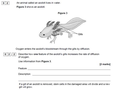 Laying The Foundation Biology Answers Epub