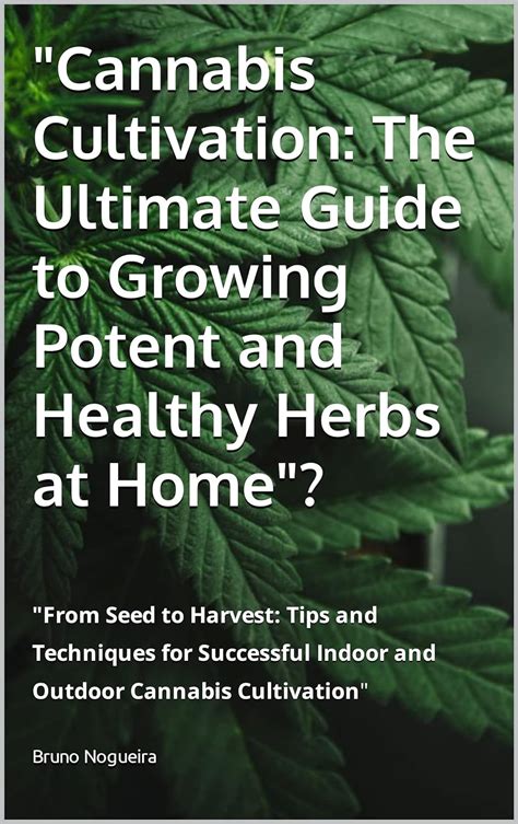 Laylabankz420: The Ultimate Guide to Growing Potent Cannabis