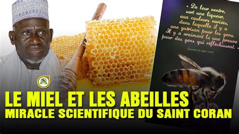 Le Miracle de l'Abeille Française : Un Trésor National