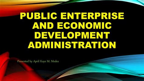 Leading Issues in Public Enterprise Administration Epub