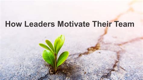 Leading and Motivating a Team: