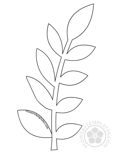 Leaf And Stem Template