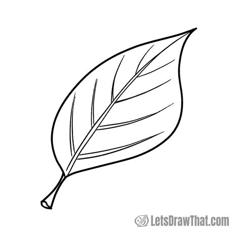 Leaf Draw Picture