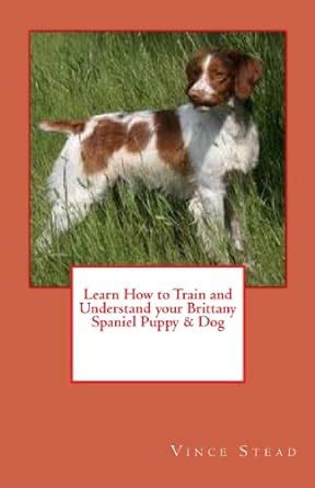 Learn How to Train and Understand Your Brittany Spaniel Puppy and Dog Epub