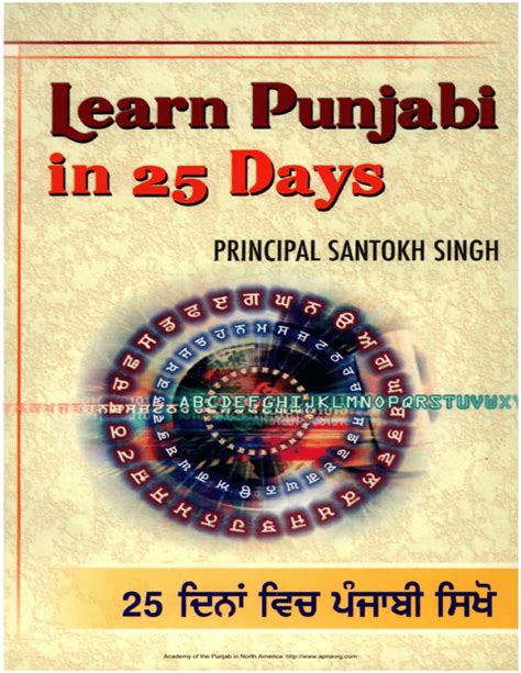 Learn Punjabi in 25 Days PDF